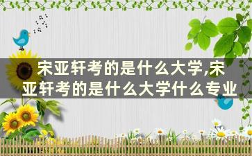 宋亚轩考的是什么大学,宋亚轩考的是什么大学什么专业