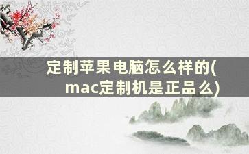 定制苹果电脑怎么样的(mac定制机是正品么)