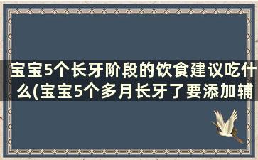 宝宝5个长牙阶段的饮食建议吃什么(宝宝5个多月长牙了要添加辅食了吗)