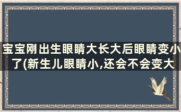 宝宝刚出生眼睛大长大后眼睛变小了(新生儿眼睛小,还会不会变大-)