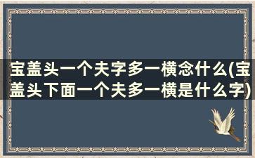 宝盖头一个夫字多一横念什么(宝盖头下面一个夫多一横是什么字)