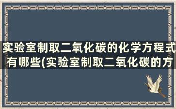 实验室制取二氧化碳的化学方程式有哪些(实验室制取二氧化碳的方程式和现象)