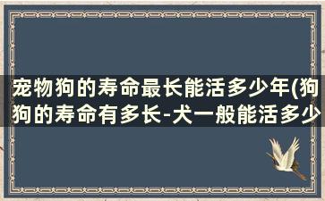 宠物狗的寿命最长能活多少年(狗狗的寿命有多长-犬一般能活多少年)