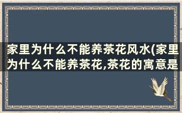 家里为什么不能养茶花风水(家里为什么不能养茶花,茶花的寓意是什么)