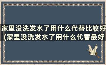 家里没洗发水了用什么代替比较好(家里没洗发水了用什么代替最好)