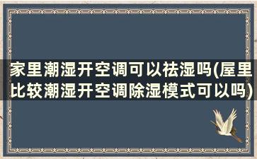 家里潮湿开空调可以祛湿吗(屋里比较潮湿开空调除湿模式可以吗)