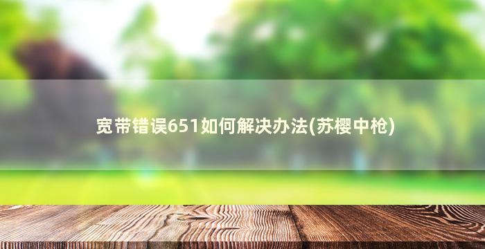 宽带错误651如何解决办法(苏樱中枪)