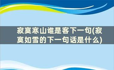 寂寞寒山谁是客下一句(寂寞如雪的下一句话是什么)