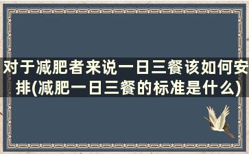 对于减肥者来说一日三餐该如何安排(减肥一日三餐的标准是什么)