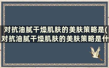 对抗油腻干燥肌肤的美肤策略是(对抗油腻干燥肌肤的美肤策略是什么)