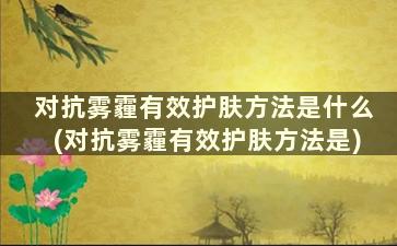 对抗雾霾有效护肤方法是什么(对抗雾霾有效护肤方法是)