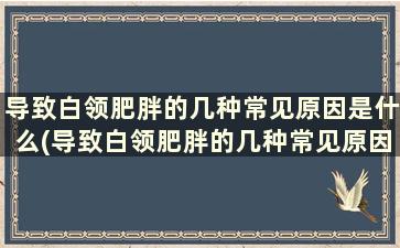 导致白领肥胖的几种常见原因是什么(导致白领肥胖的几种常见原因有哪些)