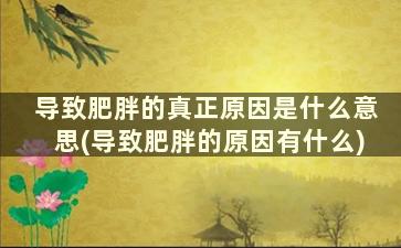 导致肥胖的真正原因是什么意思(导致肥胖的原因有什么)