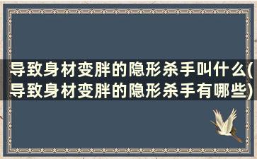 导致身材变胖的隐形杀手叫什么(导致身材变胖的隐形杀手有哪些)