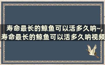 寿命最长的鲸鱼可以活多久呐~,寿命最长的鲸鱼可以活多久呐视频