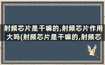 射频芯片是干嘛的,射频芯片作用大吗(射频芯片是干嘛的,射频芯片作用是啥)