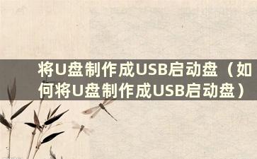 将U盘制作成USB启动盘（如何将U盘制作成USB启动盘）