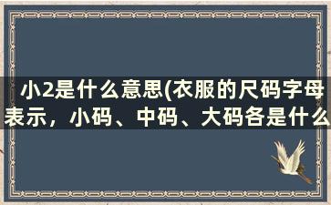 小2是什么意思(衣服的尺码字母表示，小码、中码、大码各是什么字母急)