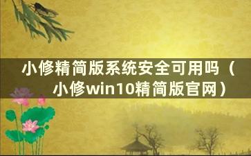 小修精简版系统安全可用吗（小修win10精简版官网）