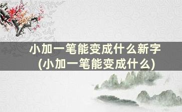 小加一笔能变成什么新字(小加一笔能变成什么)