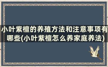 小叶紫檀的养殖方法和注意事项有哪些(小叶紫檀怎么养家庭养法)