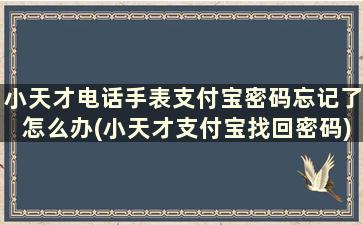 小天才电话手表支付宝密码忘记了怎么办(小天才支付宝找回密码)