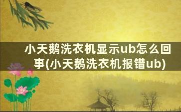 小天鹅洗衣机显示ub怎么回事(小天鹅洗衣机报错ub)