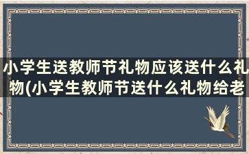 小学生送教师节礼物应该送什么礼物(小学生教师节送什么礼物给老师最有意义)