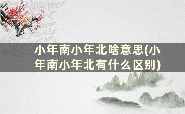 小年南小年北啥意思(小年南小年北有什么区别)