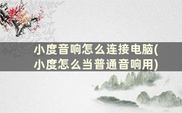 小度音响怎么连接电脑(小度怎么当普通音响用)