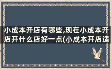 小成本开店有哪些,现在小成本开店开什么店好一点(小成本开店适合开什么店)