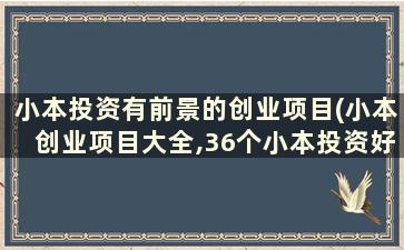 小本投资有前景的创业项目(小本创业项目大全,36个小本投资好项目)