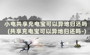 小电共享充电宝可以异地归还吗(共享充电宝可以异地归还吗-)