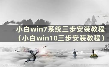 小白win7系统三步安装教程（小白win10三步安装教程）