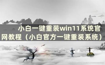 小白一键重装win11系统官网教程（小白官方一键重装系统）