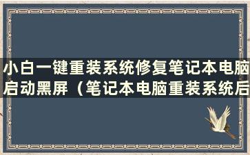 小白一键重装系统修复笔记本电脑启动黑屏（笔记本电脑重装系统后黑屏）