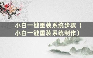 小白一键重装系统步骤（小白一键重装系统制作）