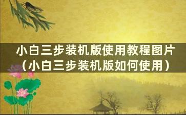 小白三步装机版使用教程图片（小白三步装机版如何使用）