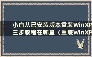 小白从已安装版本重装WinXP三步教程在哪里（重装WinXP系统步骤及详细教程）