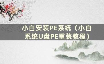 小白安装PE系统（小白系统U盘PE重装教程）