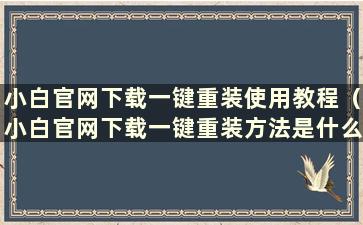 小白官网下载一键重装使用教程（小白官网下载一键重装方法是什么）