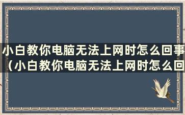 小白教你电脑无法上网时怎么回事（小白教你电脑无法上网时怎么回事）