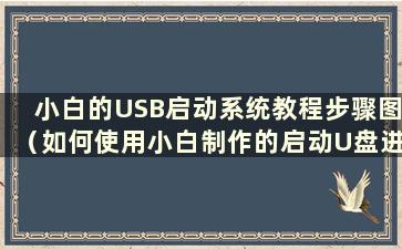 小白的USB启动系统教程步骤图（如何使用小白制作的启动U盘进入pe）