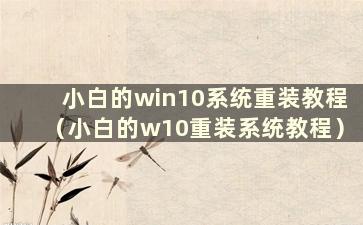 小白的win10系统重装教程（小白的w10重装系统教程）