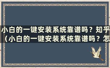 小白的一键安装系统靠谱吗？知乎（小白的一键安装系统靠谱吗？怎么设置）