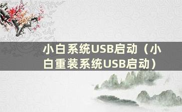 小白系统USB启动（小白重装系统USB启动）