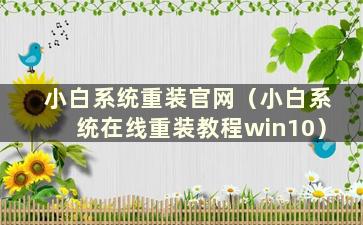 小白系统重装官网（小白系统在线重装教程win10）