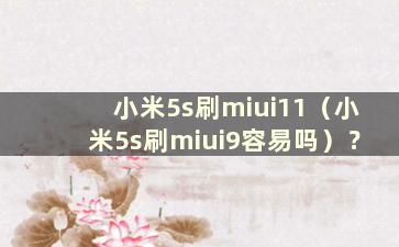 小米5s刷miui11（小米5s刷miui9容易吗）？