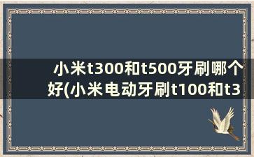 小米t300和t500牙刷哪个好(小米电动牙刷t100和t300和t500和t700的区别)