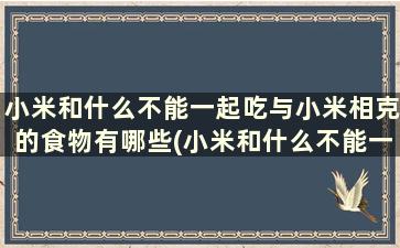 小米和什么不能一起吃与小米相克的食物有哪些(小米和什么不能一起吃吗)